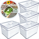 Kit 2 e 4 Organizadores de Geladeira 3,8, 2,8, 1,9 e 1,4 Litros Cesto com Tampa Multiuso Alimento Verdura e Vegetal