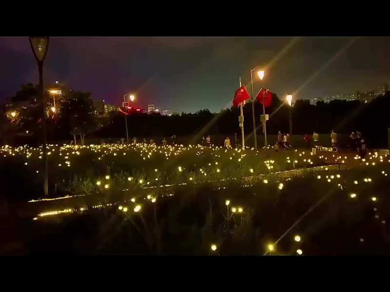 Luz Solar Vagalume De Led Luzes de Enfeite Ao Ar Livre À Prova D'água Para Jardim Encantada